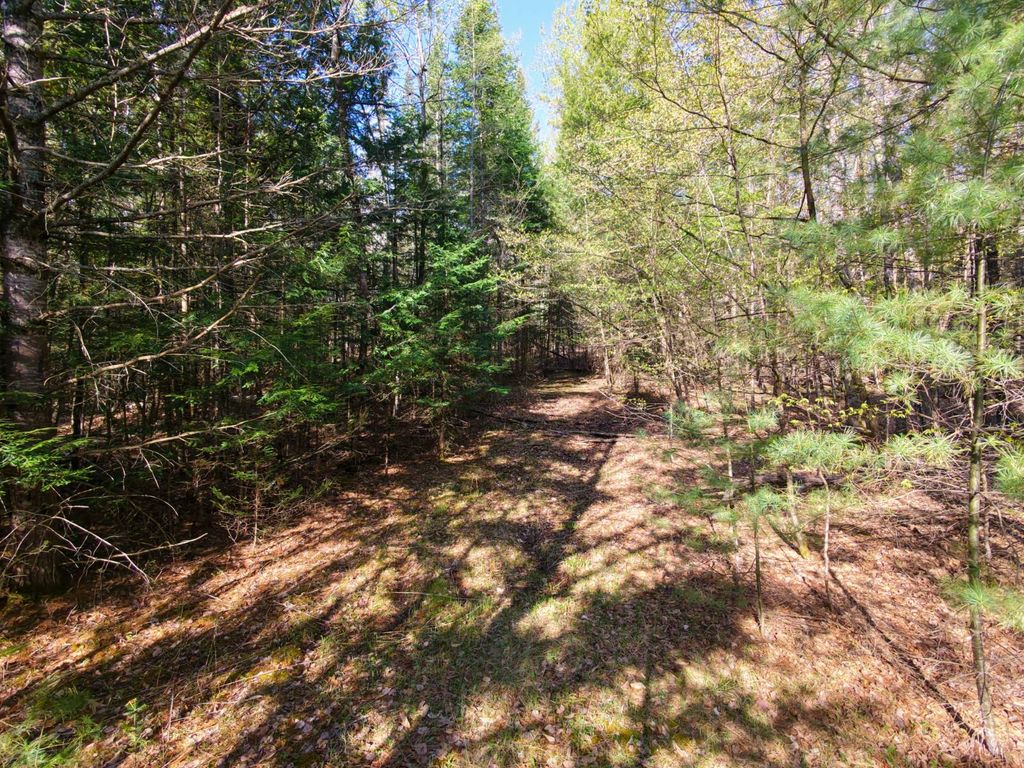 Photo of 0 Hardscrabble Rd, North Creek, NY 12853 (MLS # 11741949)