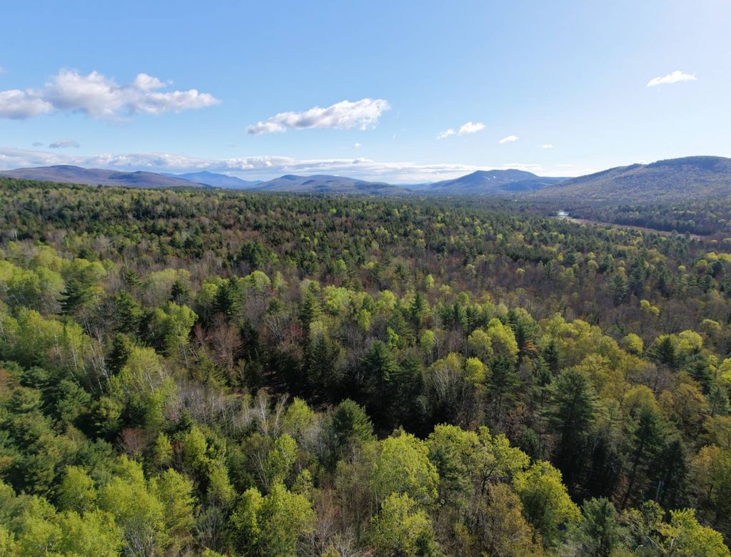 Photo of 0 Hardscrabble Rd, North Creek, NY 12853 (MLS # 11741949)