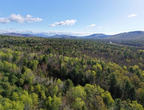 Photo of 0 Hardscrabble Rd, North Creek, NY 12853 (MLS # 11741949)