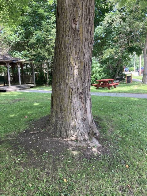 Photo of 3 Main Street, Cherry Valley, NY 13320 (MLS # 11530446)