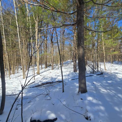 Photo of 00 Williams Rd #7, Gouverneur, NY 13642 (MLS # 11686295)