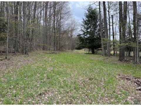 Photo of 6909 Route 219, Lewis Run, PA 16738 (MLS # 11641545)
