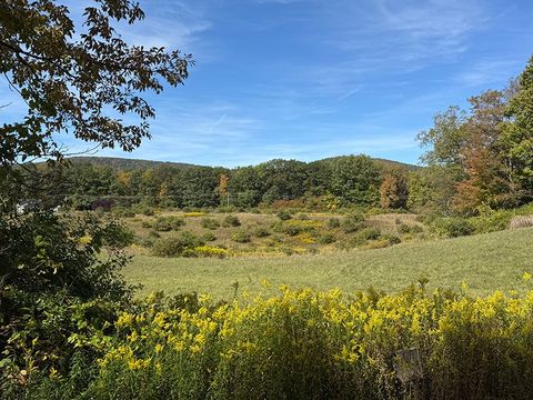 Photo of 1308 Co Hwy 35, Cooperstown, NY 13326 (MLS # 11579874)