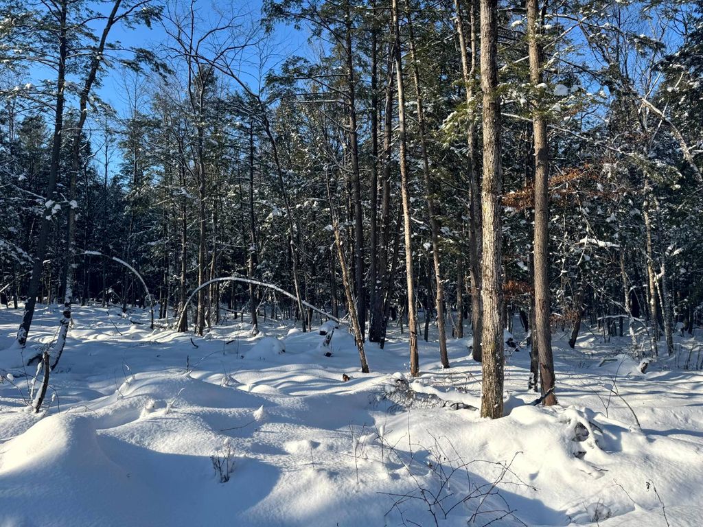 Photo of 16 Curtiss Rd #6, Camden, NY, NY 13316 (MLS # 11623171)