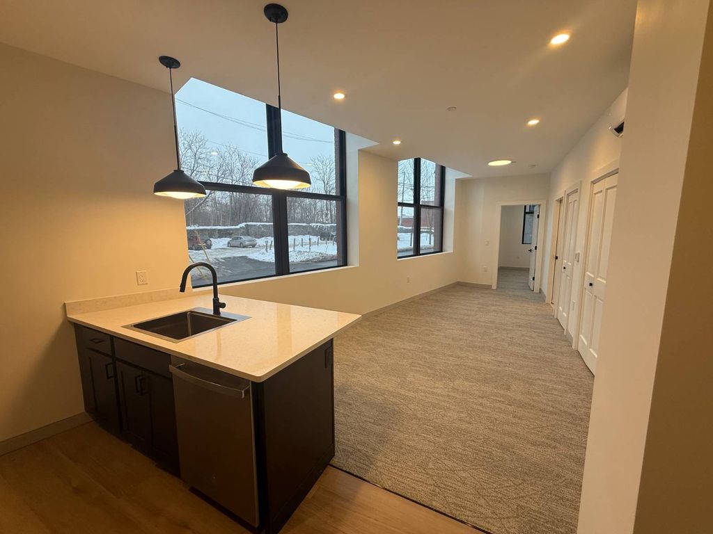 Photo of 1117 W Fayette Street #103, Syracuse, NY 13204 (MLS # 11655432)