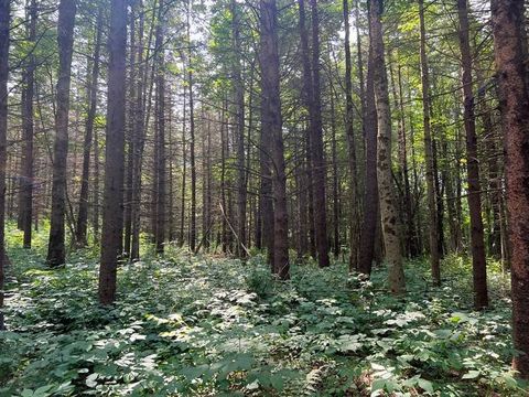 Photo of 12 Hoag-Childes Rd #2, Pharsalia, NY 13815 (MLS # 11195761)