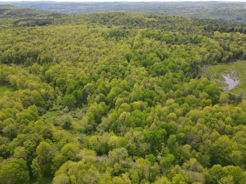 Photo of 0 Bowen Rd, Cooperstown, NY 13326 (MLS # 11506082)
