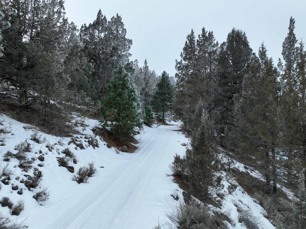 Photo of TL 2400 2500 260 Off Altnow-Beulah Road, Drewsey, OR 97904 (MLS # 11654006)