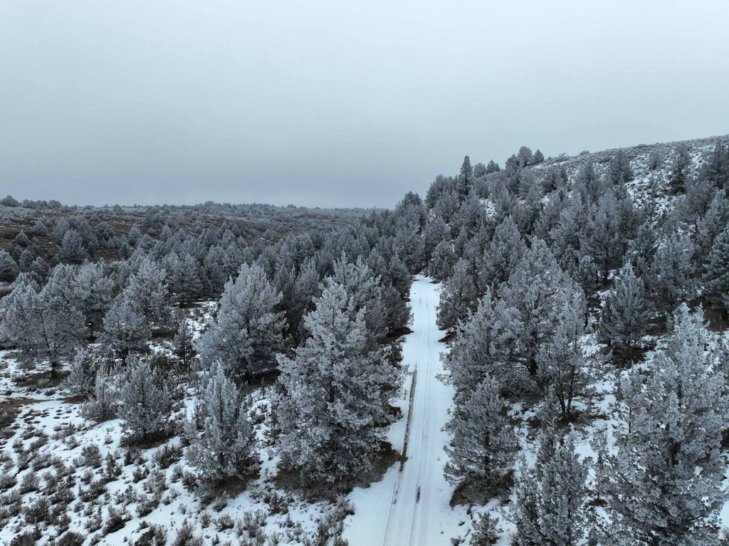 Photo of TL 2400 2500 260 Off Altnow-Beulah Road, Drewsey, OR 97904 (MLS # 11654006)