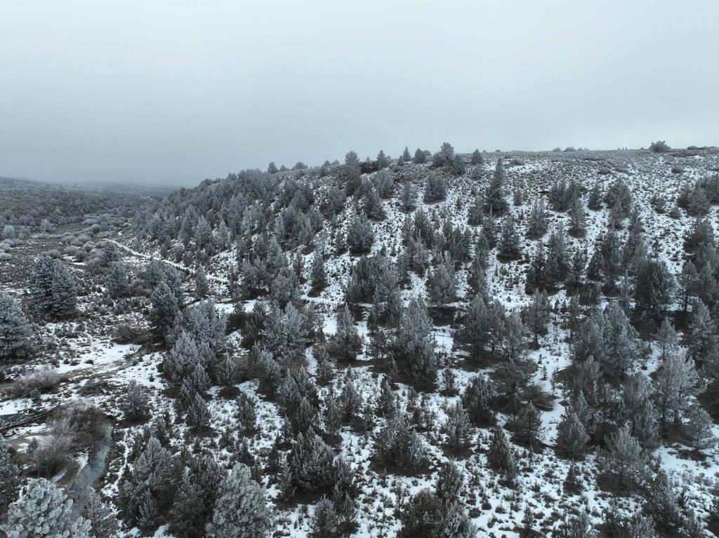 Photo of TL 2400 2500 260 Off Altnow-Beulah Road, Drewsey, OR 97904 (MLS # 11654006)