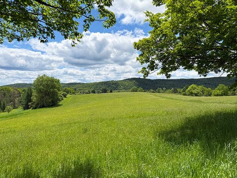 Photo of 27052706 Hoke Rd, Fly Creek, NY 13337 (MLS # 11908898)