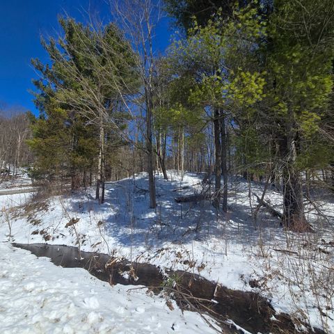 Photo of 00 Williams Rd #4, Gouverneur, NY 13642 (MLS # 11686287)