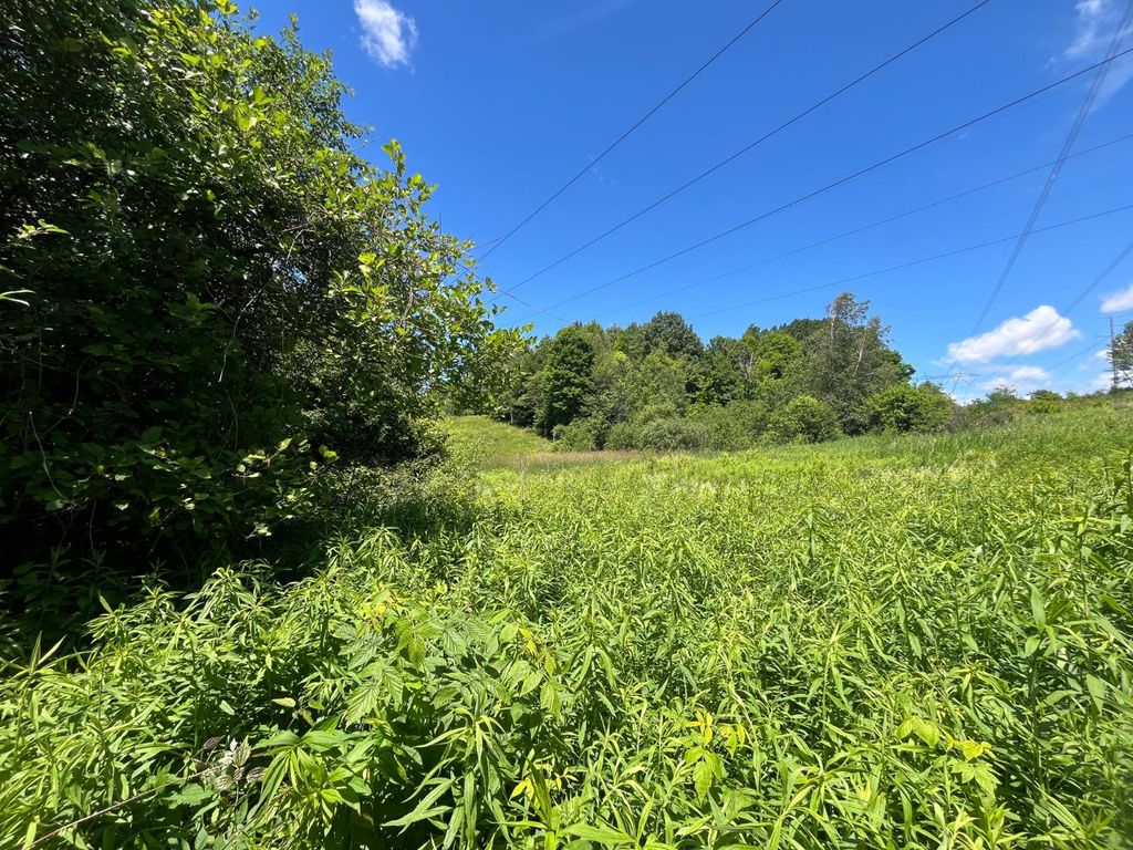 Photo of 00 Minor Street Rd #6, Canton, NY 13617 (MLS # 11850477)