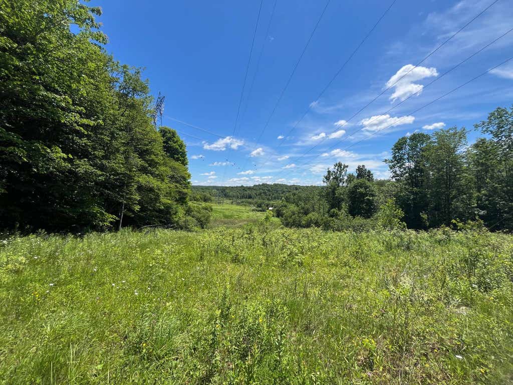 Photo of 00 Minor Street Rd #6, Canton, NY 13617 (MLS # 11850477)
