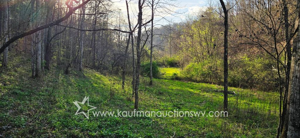 Photo of TBD Wayside Creamery, Alderson, WV 24910 (MLS # 11848673)