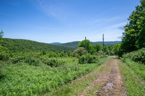 Photo of 1718 Doe Brook Rd, Hamden, NY 13782 (MLS # 11816878)