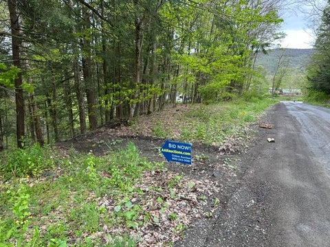 Photo of 116 Oregon Rd, Butternuts, NY 13776 (MLS # 11777729)
