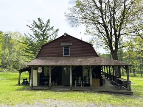 Photo of 250 Oriole Rd, Cooperstown, NY 13326 (MLS # 11506089)