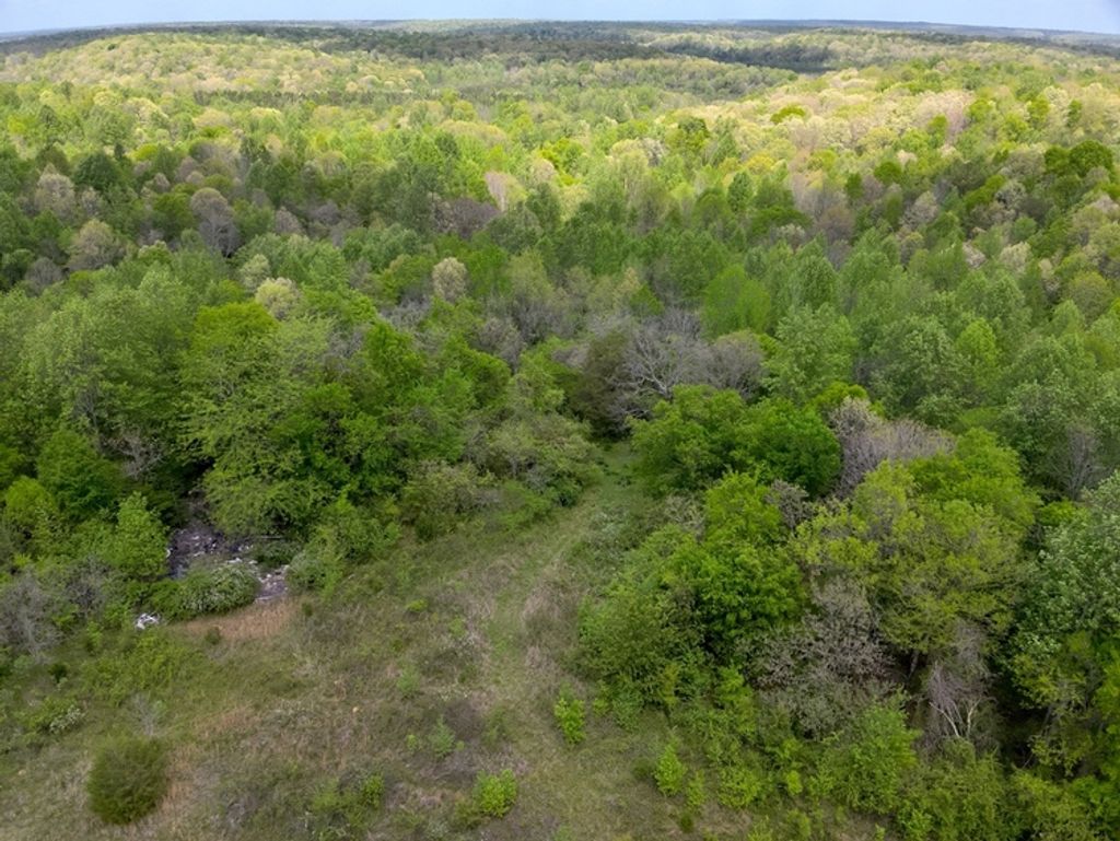 Photo of County Road 298, Florence, AL 35634 (MLS # 11858856)
