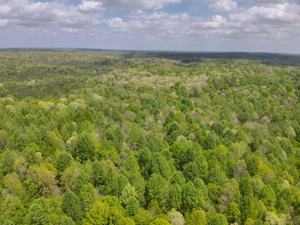 Photo of County Road 298, Florence, AL 35634 (MLS # 11858856)
