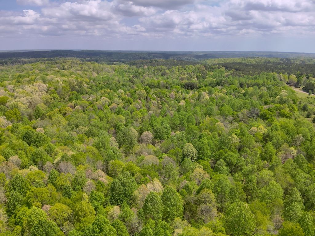 Photo of County Road 298, Florence, AL 35634 (MLS # 11858856)