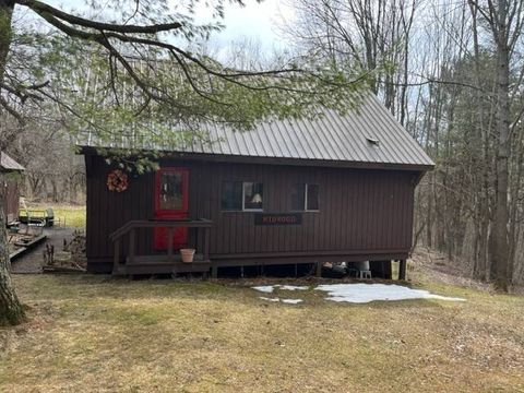 Photo of 117 Tony Hribar Road, Richfield Springs, NY 13439 (MLS # 11172671)