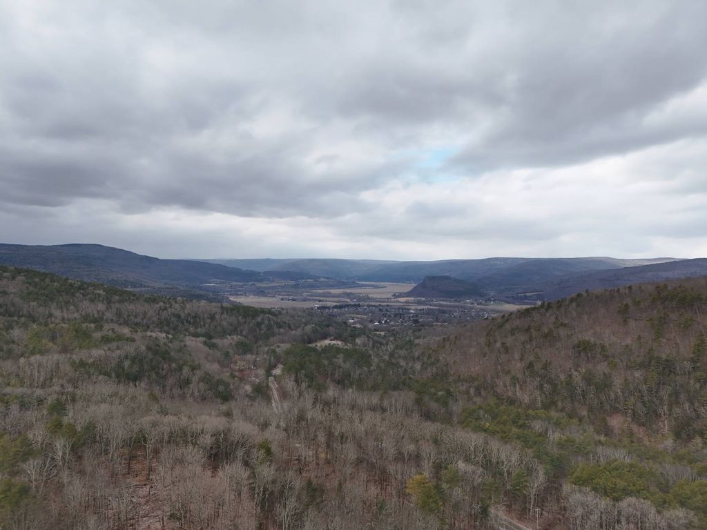 Photo of 00WP Cotton Hill Rd, Middleburgh, NY 12122 (MLS # 11623791)