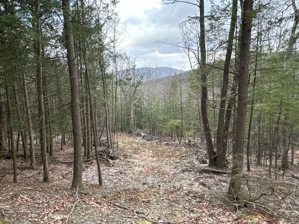 Photo of 00WP Cotton Hill Rd, Middleburgh, NY 12122 (MLS # 11623791)