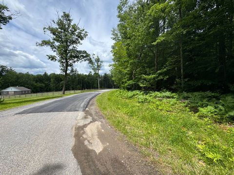 Photo of 0 Prentice Gorge Rd, Unadilla, NY 13849 (MLS # 11852519)