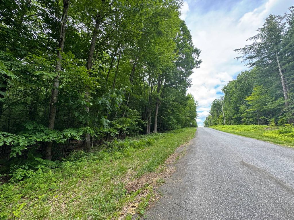 Photo of 0 Prentice Gorge Rd, Unadilla, NY 13849 (MLS # 11852519)