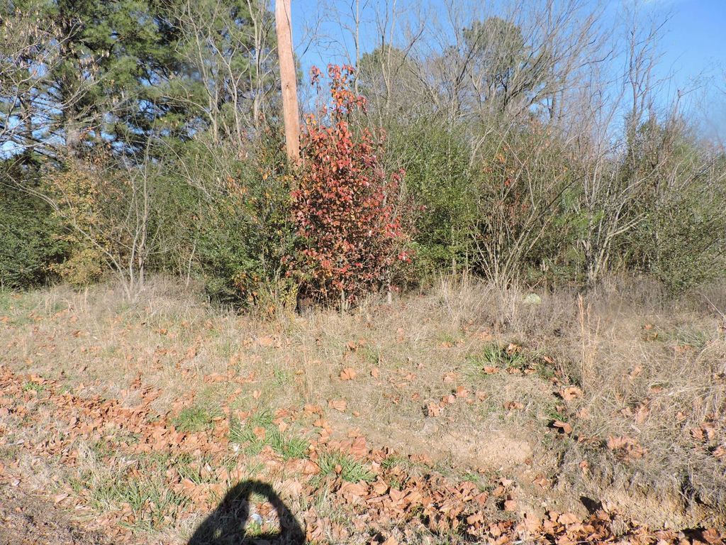 Photo of 952 N Main St, Waldron, AR 72958 (MLS # 11622956)