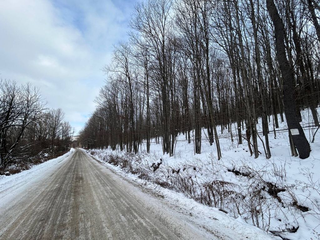 Photo of 00 Dietsche Road, Cherry Valley, NY 13320 (MLS # 11620296)