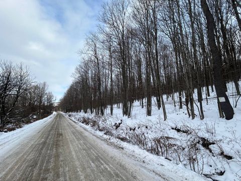 Photo of 00 Dietsche Road, Cherry Valley, NY 13320 (MLS # 11620296)