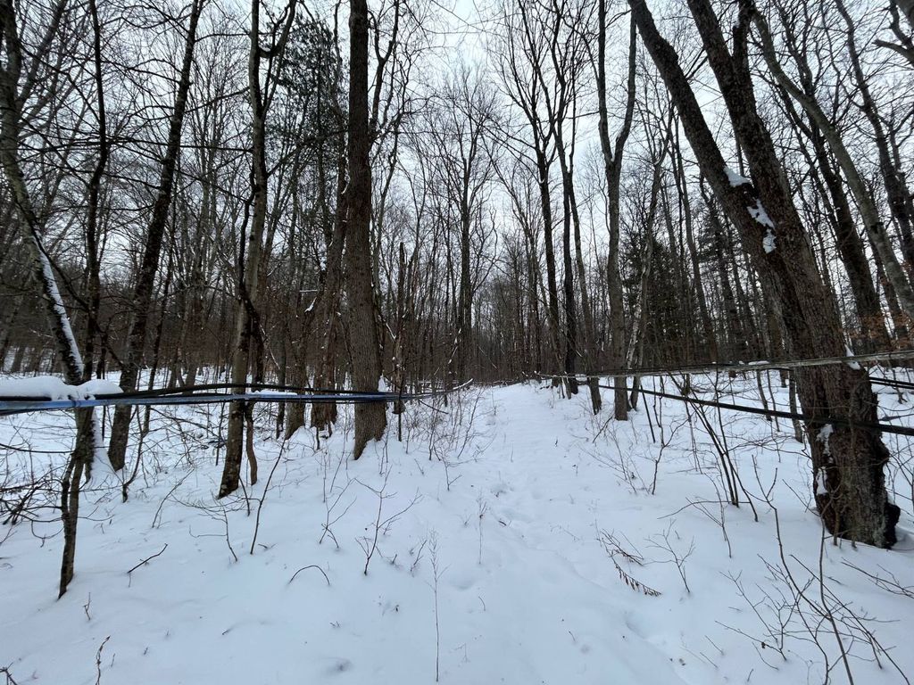 Photo of 00 Dietsche Road, Cherry Valley, NY 13320 (MLS # 11620296)