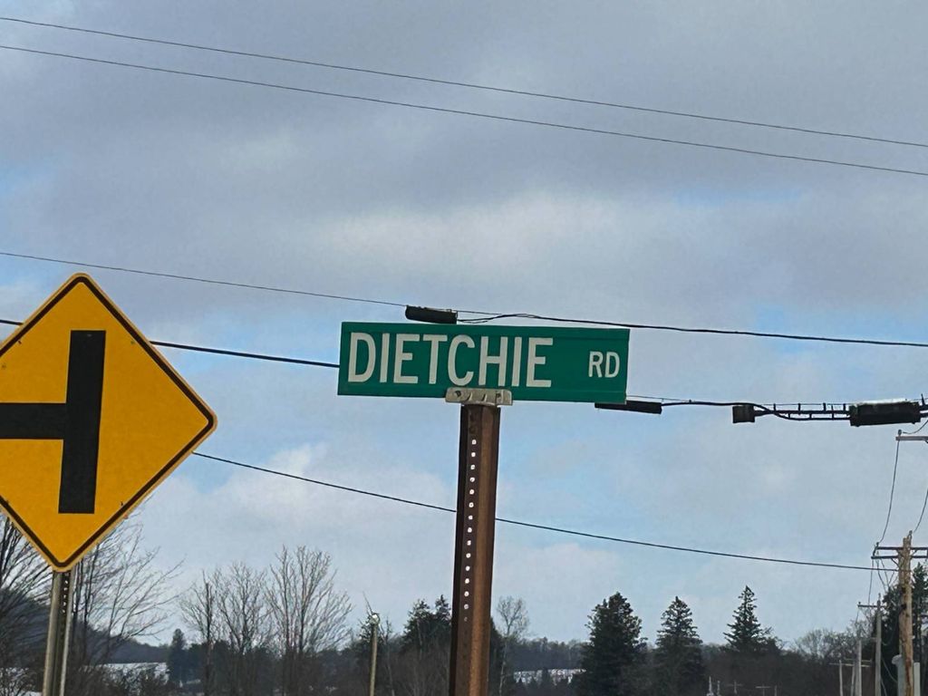 Photo of 00 Dietsche Road, Cherry Valley, NY 13320 (MLS # 11620296)