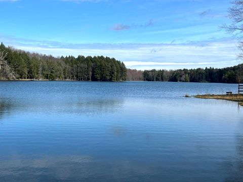 Photo of 597 Bliven-Coye Hill Rd #Lot 2, Smyrna, NY 13464 (MLS # 11732756)
