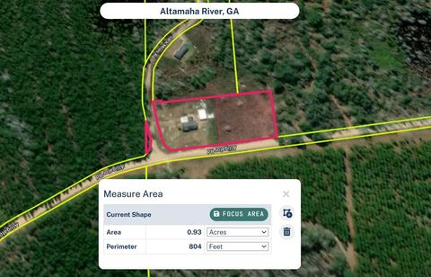 Photo of 542 Alligator Rd, Baxley, GA 31513 (MLS # 11732341)