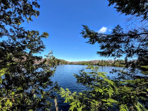 Photo of 11 Fletcher Road, Edwards, NY 13635 (MLS # 11695428)