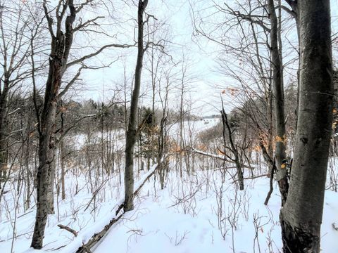 Photo of 00 Eddy Pyrites Rd, Canton, NY 13617 (MLS # 11651725)