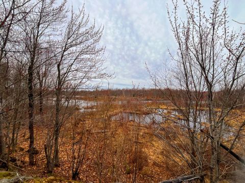 Photo of 00 Harriman Road, Hopkinton, NY 12965 (MLS # 11736854)