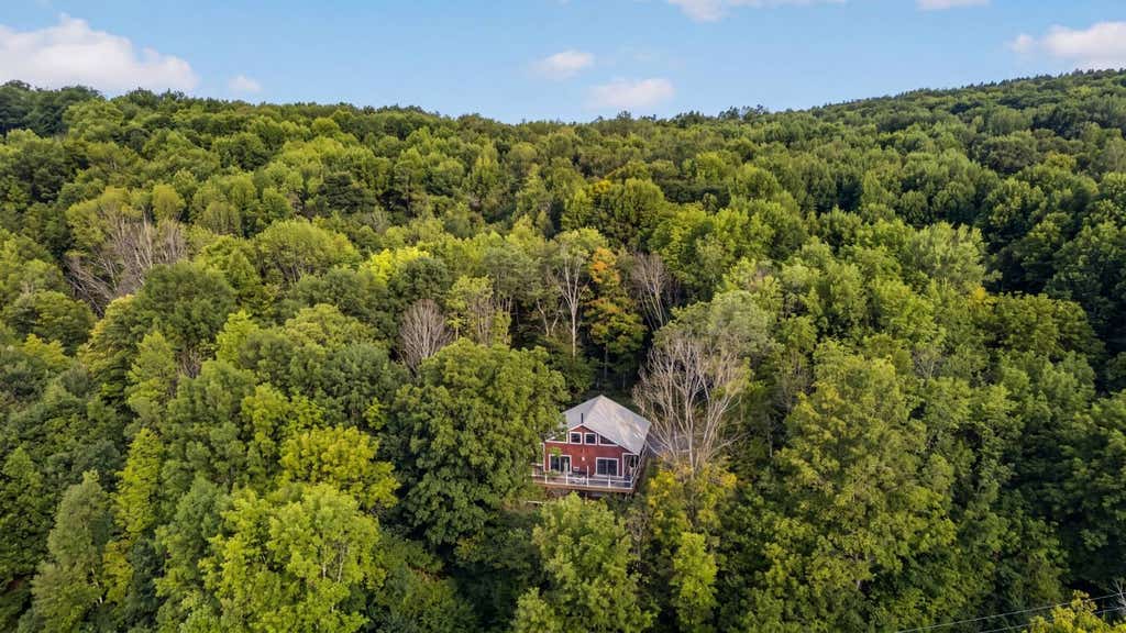 Photo of 149 Duck Farm Rd, Worcester, NY 12197 (MLS # 11931291)