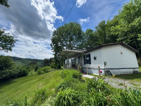Photo of 265 Dick Mason Rd, Delhi, NY 13753 (MLS # 11835251)