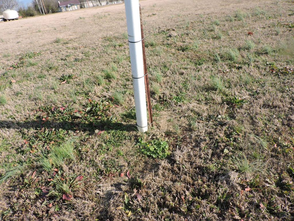 Photo of 772 N Main St, Waldron, AR 72958 (MLS # 11622960)