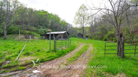 Photo of 725 Isaac Run, Harrisville, WV 26362 (MLS # 11729781)