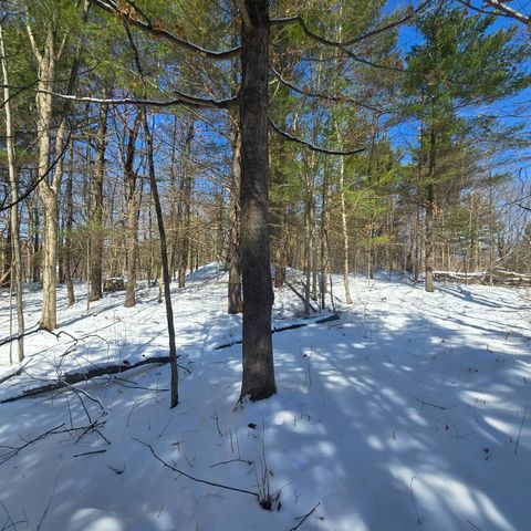 Photo of 00 Williams Rd #6, Gouverneur, NY 13642 (MLS # 11686291)