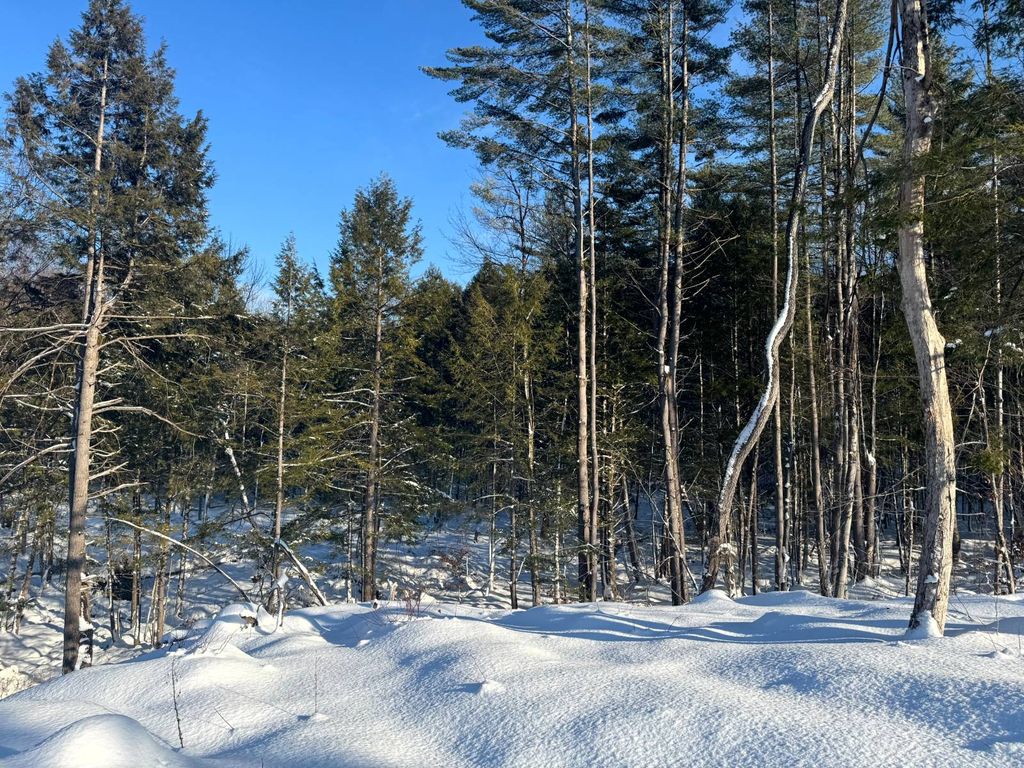 Photo of 15 Rowell Rd #5, Camden, NY, NY 13316 (MLS # 11622107)