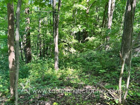 Photo of 0 Hoyt Ridge - Anderson Ridge, Littleton, WV 26581 (MLS # 11803133)