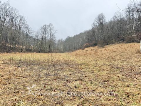 Photo of 0 Harmony Rd, West Union, WV 26421 (MLS # 11669607)