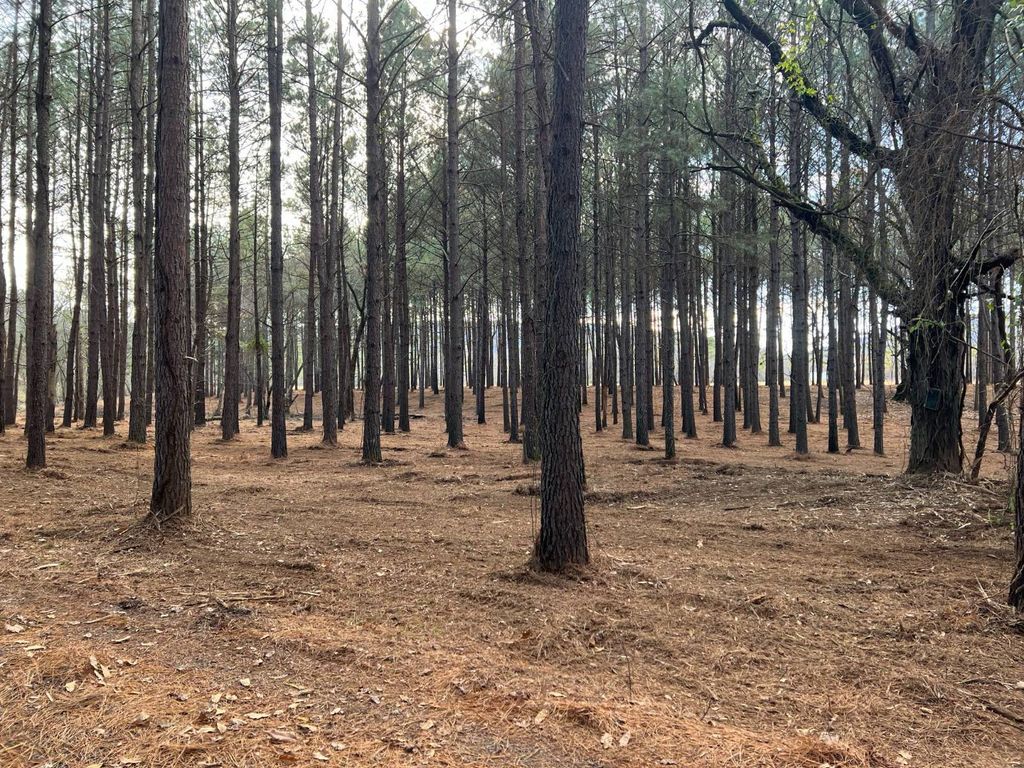 Photo of TBD Highway 23 North, Ozark, AR 72949 (MLS # 11622145)