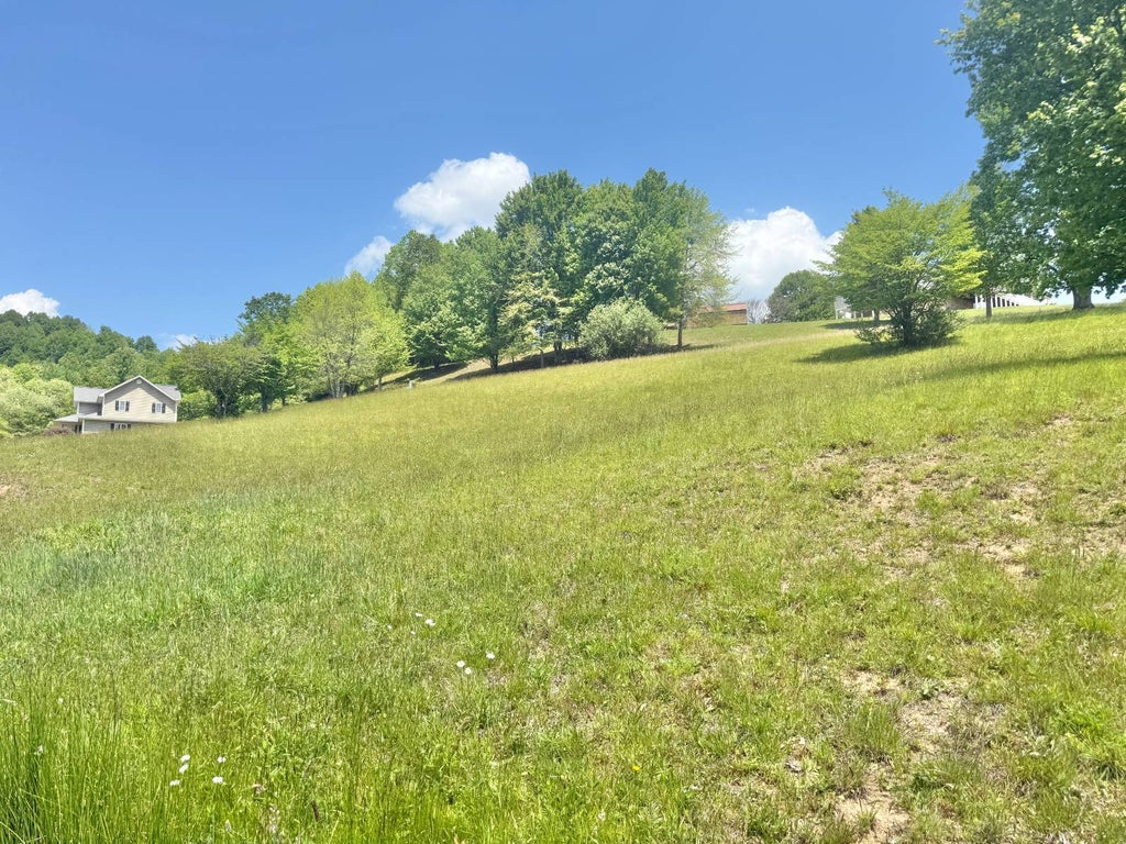 Photo of 16 Deer Creek Lane, Buckhannon, WV 26201 (MLS # 11931196)